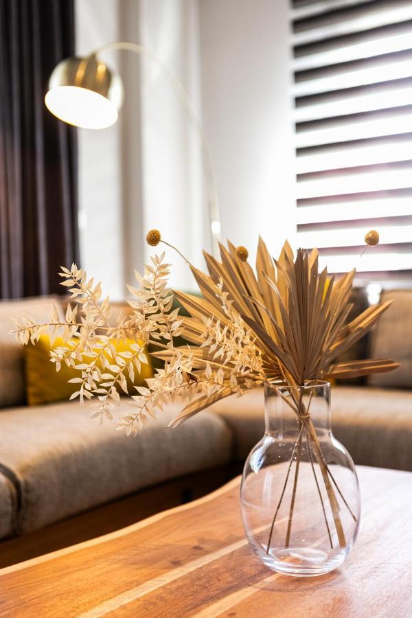 Aegli Central Luxury Apartment アレクサンドルポリス エクステリア 写真